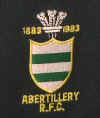 abertillery blazer badge.jpg (11069 bytes)