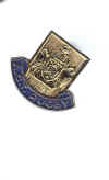 46.jpg (224074 bytes)